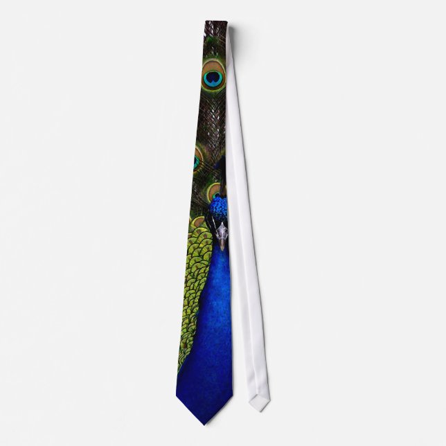 Splendid Peacock Tie (Front)