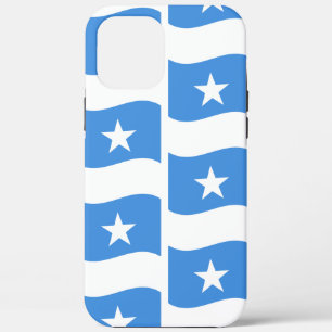 Splendid Somalia Flag Patriotic iPhone / iPad Case