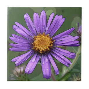 Splendour Ceramic Tile