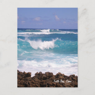 Splish Splash Postcard