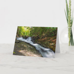 Split Falls on Sand Spring Run Card