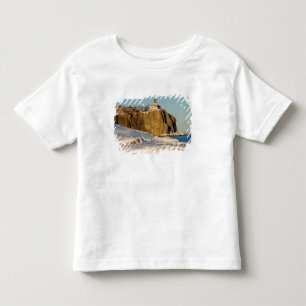 Split Rock Lighthouse State Park on Lake Toddler T-Shirt