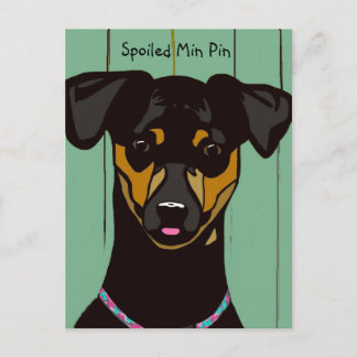 Spoiled Min Pin Postcard