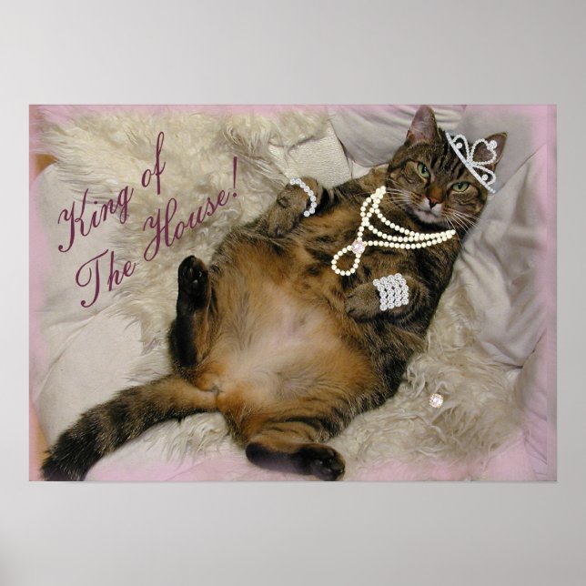 SPOILED PRINCESS CAT LAYING ON BACK POSTER (Front)