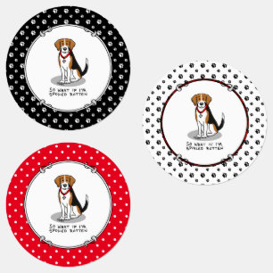 Spoiled Rotten Beagle (tri colour 3) Dog Funny