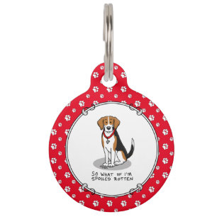 Spoiled Rotten Beagle (tri colour 3) Dog Funny Pet Tag