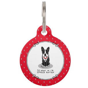 Spoiled Rotten Boston Terrier Dog (black) Cute Pet Tag