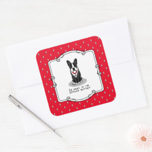 Spoiled Rotten Boston Terrier Dog (black) Cute Square Sticker