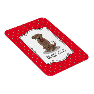 Spoiled Rotten Chocolate Lab Labrador Retriever Magnet