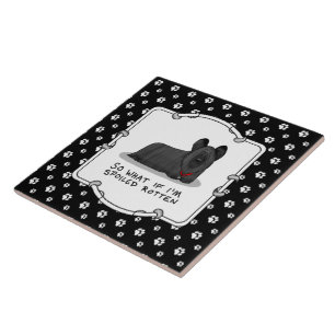 Spoiled Rotten Skye Terrier Dog (black) Cute Funny Ceramic Tile