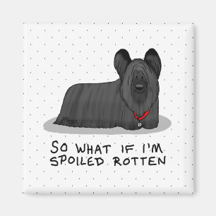 Spoiled Rotten Skye Terrier Dog (black) Cute Funny Magnet