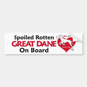Spoiled Rotten White Dane UC Bumper Sticker