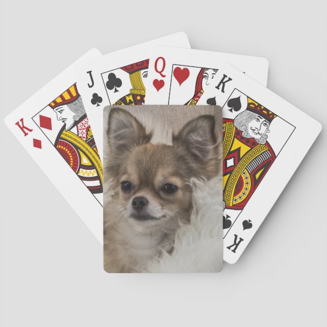 Spoilt Chihuahua Relaxing Playing Cards (Back)