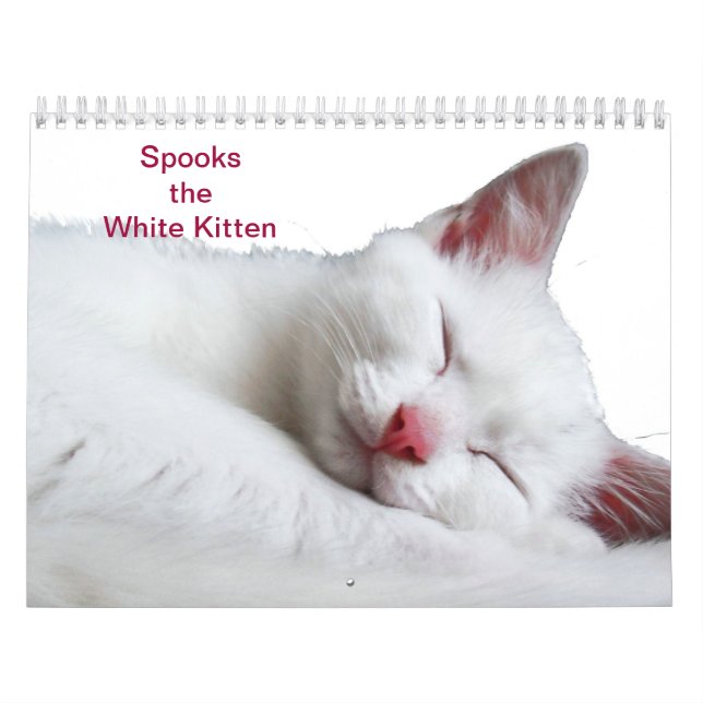 SPOOKS THE WHITE KITTEN - CALLENDER CALENDAR (Cover)