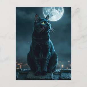 Spooky Black Cat Halloween Wallpaper — 2025 Night! Holiday Postcard