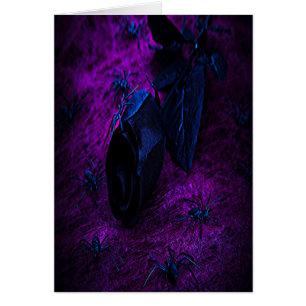 Spooky Black Material Rose, Black Spiders