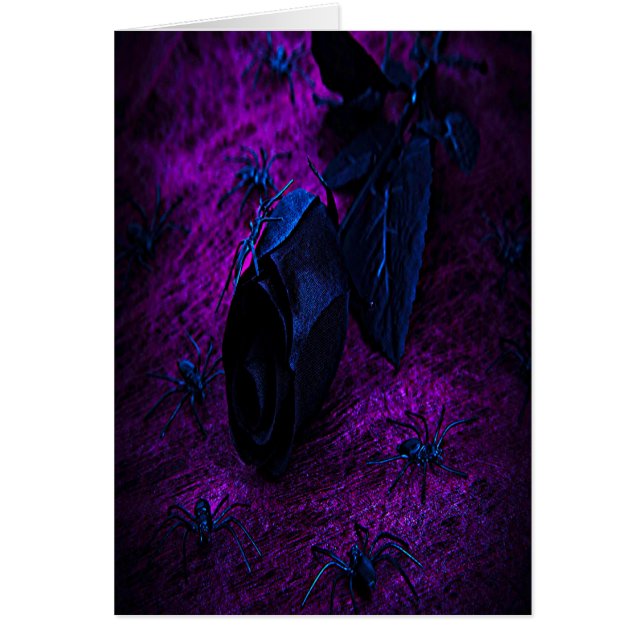 Spooky Black Material Rose, Black Spiders (Front)