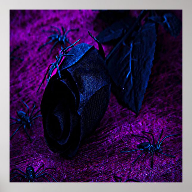 Spooky Black Material Rose, Black Spiders Poster (Front)