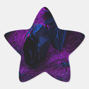 Spooky Black Material Rose, Black Spiders Star Sticker
