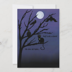 Spooky cat-raven-owl-bat-night-moon Halloween card