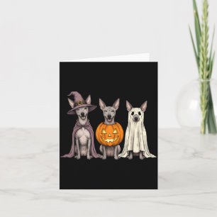 Spooky Ghost Xoloitzcuintli Pumpkin Halloween Xolo Card