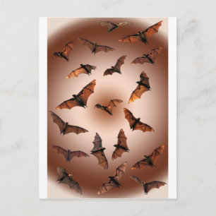 Spooky Halloween Fruit Bats (Flying foxes) Postcard