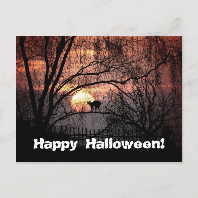 Spooky Halloween Postcard (Front)