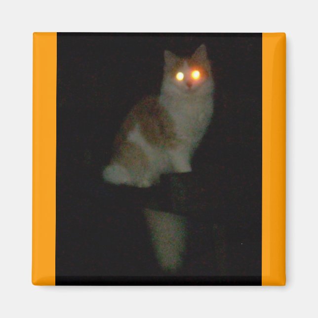 spooky kitty magnet (Front)