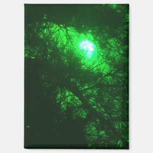 Spooky Midnight Forest Magnet