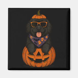 Spooky Newfoundland Dog Pumpkin Halloween Newfie Magnet