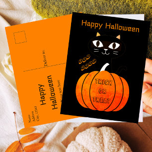 Spooky Orange Black Cat Trick or Treat Halloween  Postcard