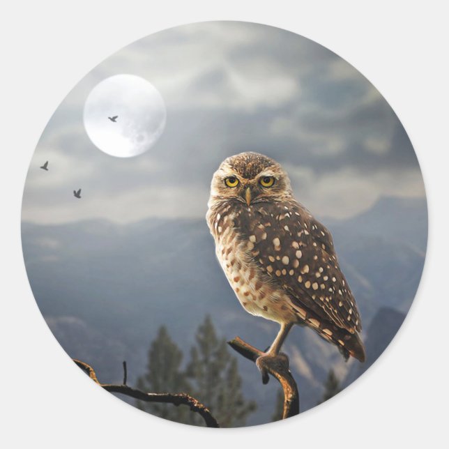 Spooky Owl Moon Graphic Classic Round Sticker (Front)