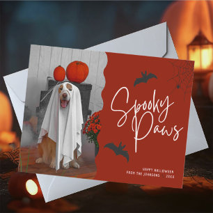 Spooky Paws Halloween Pet Photo Holiday Card