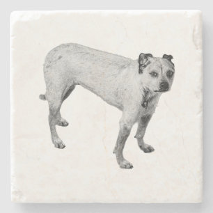 Spooky Porch Watch Stone Coaster