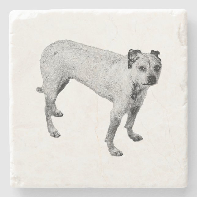 Spooky Porch Watch Stone Coaster (Front)