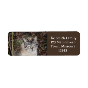 Spooky Return Address Label