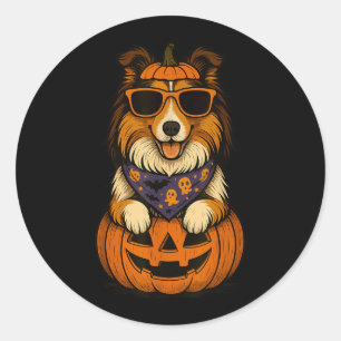 Spooky Rough Collie Pumpkin Halloween Dog Lover Classic Round Sticker