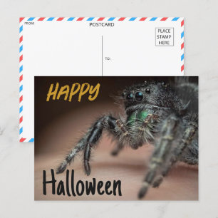 Spooky Spider Halloween Greeting Postcard