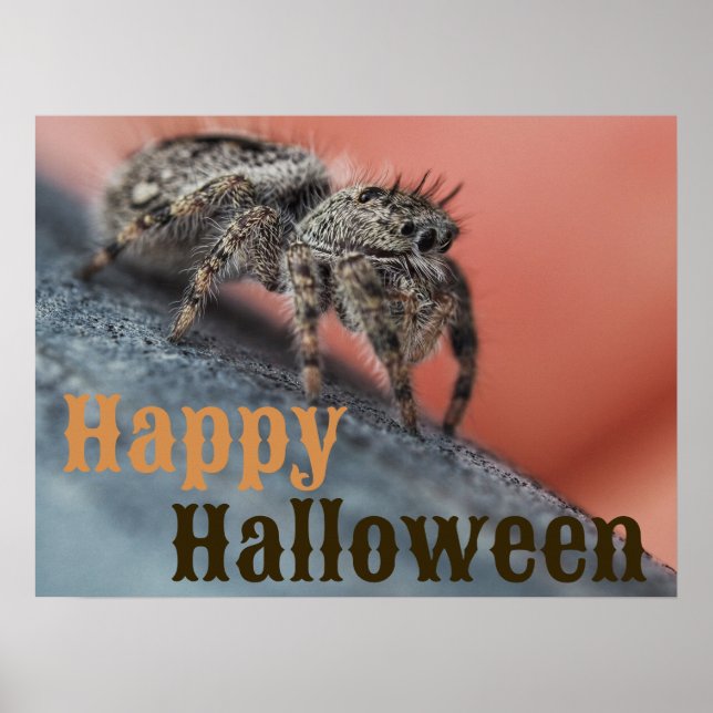 Spooky Spider Halloween Poster  (Front)