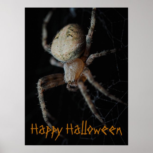 Spooky Spider Web - Halloween Poster (Front)