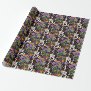 Spooky Springer Spaniel Halloween Witch Pumpkin  Wrapping Paper