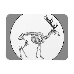 Spooky vintage skeleton reindeer drawing magnet