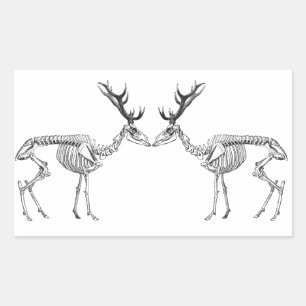 Spooky vintage skeleton reindeer drawing rectangular sticker
