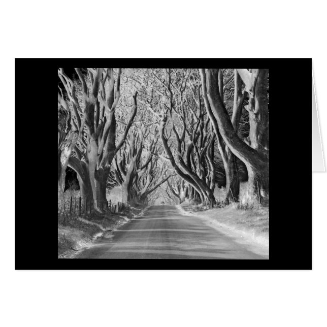 Spooky wood (Front Horizontal)