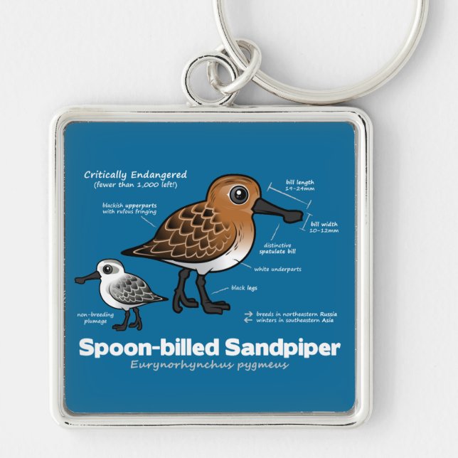 Spoon-billed Sandpiper Statistics Key Ring (Front)