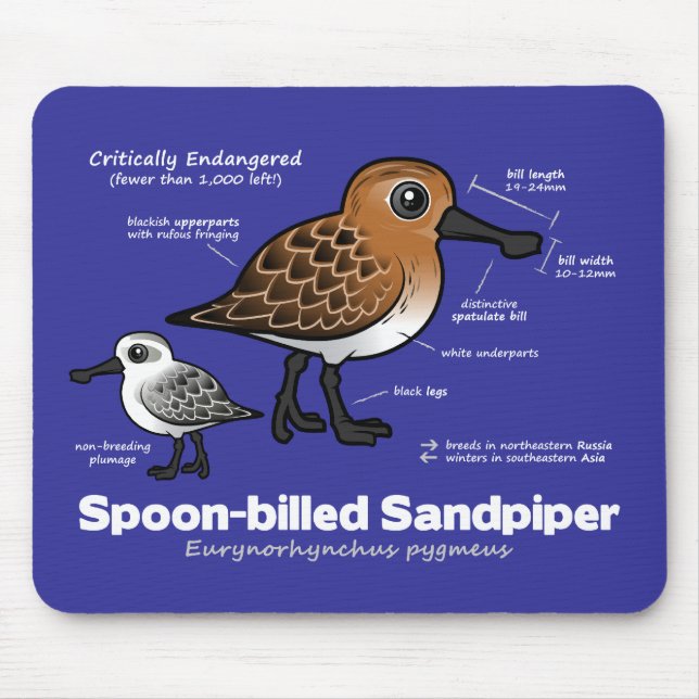 Spoon-billed Sandpiper Statistics Mouse Pad (Front)
