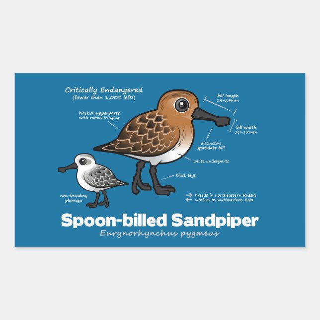 Spoon-billed Sandpiper Statistics Rectangular Sticker (Front)