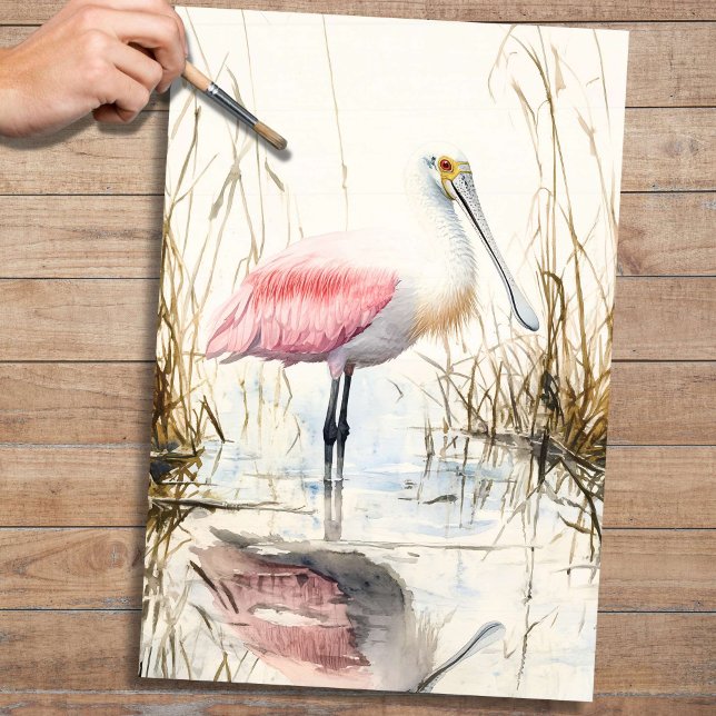 Spoonbill 1 Decoupage Paper (Creator Uploaded)