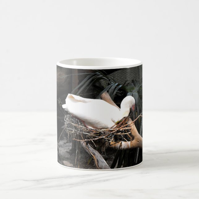 Spoonbill bird on nest in Spain Coffee Mug (Center)