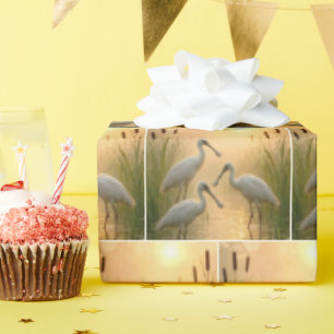 Spoonbill Birds In Wetland Wrapping Paper